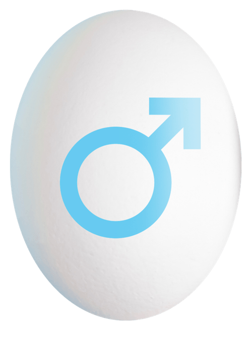 65edb9708df7cc2fd8fc0892_egg-mail-p-500