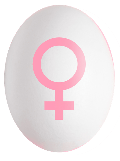 65edb970b4235d718c793444_egg-female-p-500